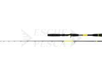 Canna Black Cat Perfect Passion X Casting 2.20m 150g