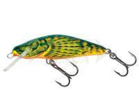 Esche Salmo Bullhead BD6S - Hot Bullhead