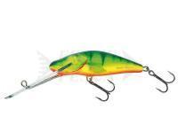 Esche Salmo Bullhead BD6SDR HP