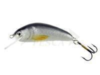 Esca Microbait Bumblebee 33mm - Roach