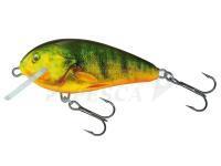 Esca Salmo Butcher BR5F | 5cm 5g - Supernatural Hot Perch (QBU018)