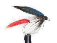 Mosca sommersa Butcher Silver Wet Fly #12