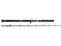 Canna Westin W6 Jigging-T 1+1sec | 5'2" / 1.55m | M | 250-400g