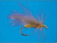 CDC Tan Caddis no.16