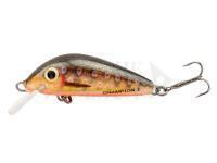 Esca Hunter Champion 3.1cm S - RTR