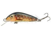 Esca Hunter Champion 4.2cm S - RTR