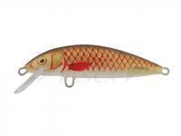 Esca Dorado Classic C-4 Floating BR