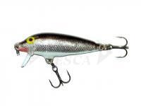 Esca Rapala CountDown 11cm - Silver