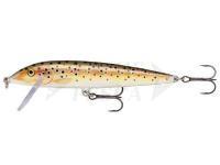 Esca Rapala CountDown 11cm - Brown Trout