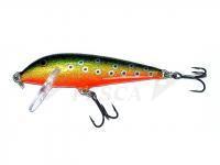 Esca Rapala CountDown 5cm - Brook Trout