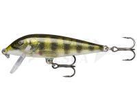 Esca Rapala CountDown 5cm - Live Perch