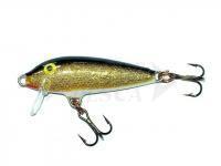 Esche Rapala CountDown