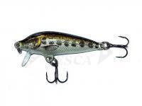 Esca Rapala CountDown 7cm - Muddler