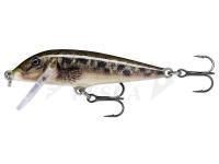 Esca Rapala CountDown 7cm - Live Sculpin