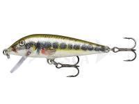 Esca Rapala CountDown 7cm - Live Vairon