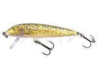 Esca Rapala CountDown 9cm - Brown Trout