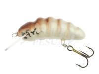 Esca Microbait Daisy 31mm - Borer