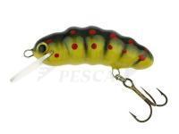 Esca Microbait Daisy 31mm - Strip Yellow