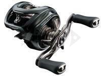 Mulinelli Baitcasting Daiwa 24 Steez SV TW 100HL