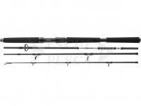 Canna Daiwa BG Offshore Travel 2.25m 150-500g