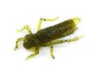 Esche siliconich Fishup Dragonfly 1 - 074 Green Pumpkin Seed