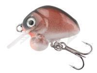 Esca HMG Lures Droop Killer 25mm | 3,5g - 03