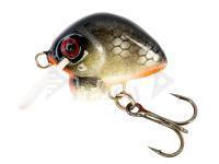 Esca HMG Lures Droop Killer 20mm | 3g - 0220301