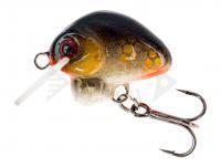 Esca HMG Lures Droop Killer 20mm | 3g - 0220302