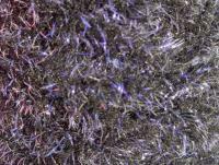 Semperfli EggStatic Egg Fritz 8mm - Black Sturgeon