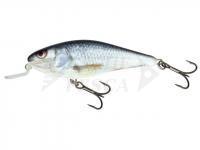 Esche Salmo Executor IEX12SR RD