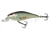 Esche Salmo Executor IEX7SR RD