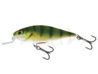 Esche Salmo Executor IEX9SR RPH