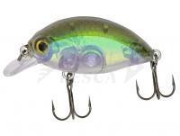 Esca Quantum Fat Minnow SR 4cm 4g - real shiner