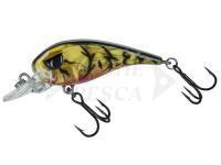 Esca Molix FC45 MR Finesse crankbait - 05 Alqueva Craw