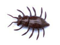 Esche FishUp Maybug 1.3" #012 - Chaos