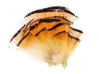 Golden Pheasant Tippets - Medium