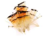 Golden Pheasant Tippets - Small