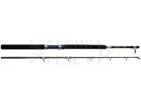 Canna Abu Garcia GT Boat GT 602 1.84m 30lb Heavy