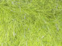 Hareline Dubbin Senyo's Laser Dub - #263 Olive