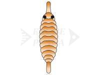 Hemingway`s Gammarus back - Orange