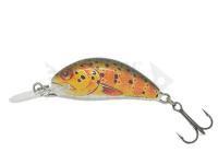Salmo Hornet H3S - Trout