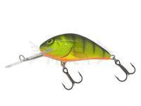 Esche Salmo Hornet H5F - Hot Perch