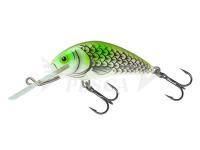 Esche Salmo Hornet H5F  - Olive Hot Spot