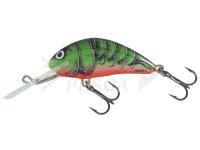 Esche Salmo Hornet H5F RVC River Craw