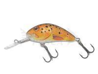 Esche Salmo Hornet H5F - Trout