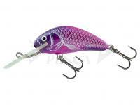 Esche Salmo Hornet H5F  - UV Purple