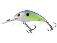 Esche Salmo Hornet Rattlin H3.5 -  Sexy Shad