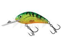 Esche Salmo Hornet Rattlin H4.5 - Clear Hot Green Tiger