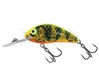 Esche Salmo Hornet Rattlin H4.5 - Gold Fluo Perch