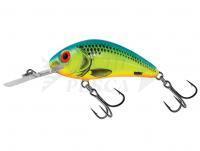 Esche Salmo Hornet Rattlin H5.5 -  Chartreuse Blue (CHB)